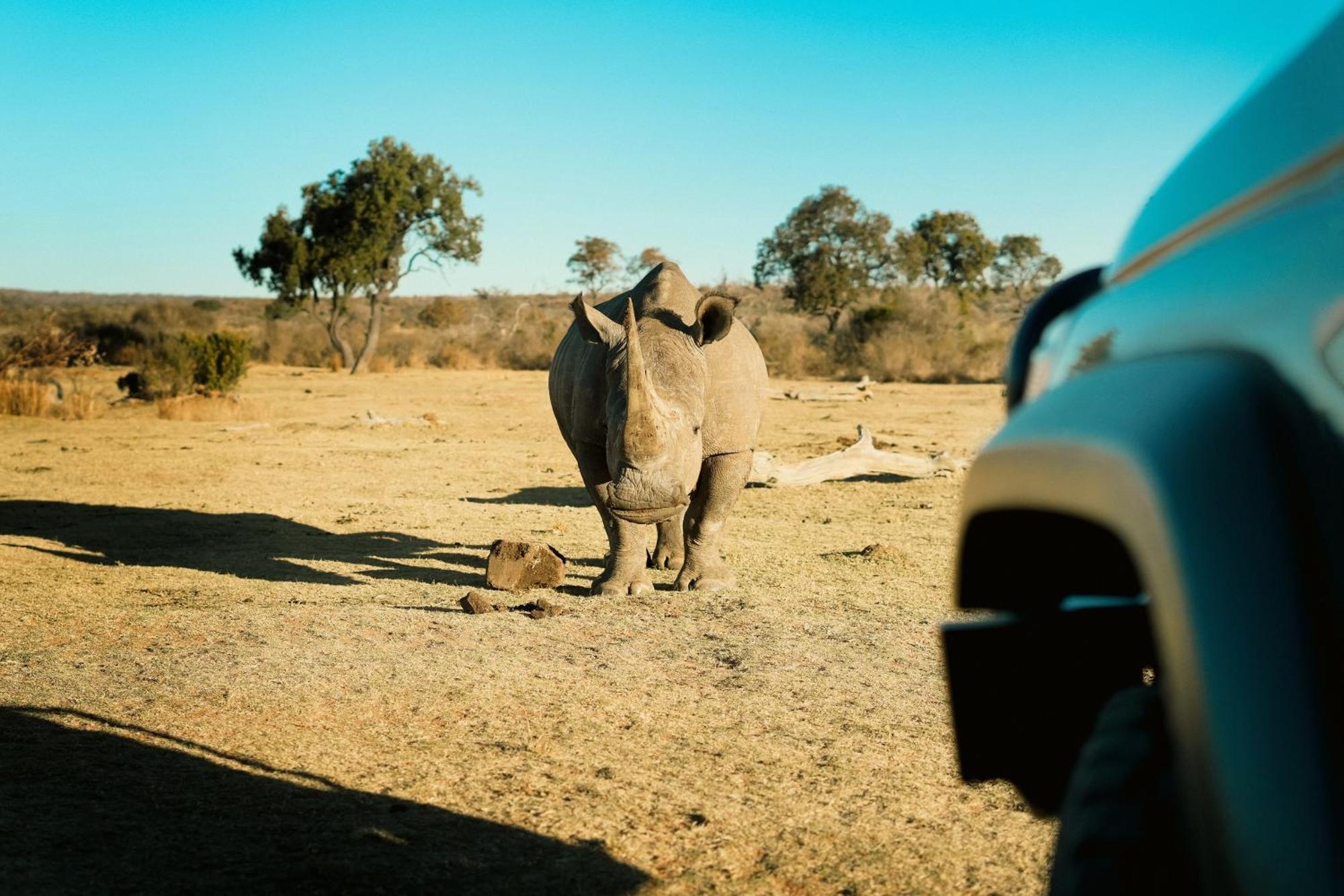 Shibula Safari Lodge Welgevonden Game Reserve Eksteriør billede